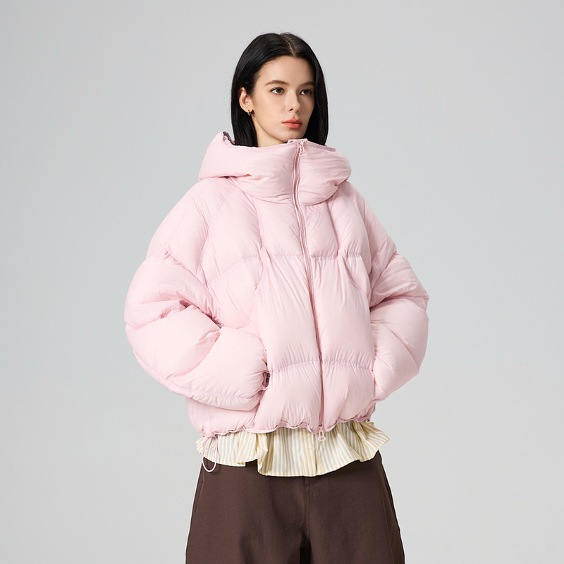 Shell down Jacket for Women, Short Style, New National Standard 95% White Duck Down, Hooded, Petite, Loose, Fashionable, Height-Enhancing, Warm Coat