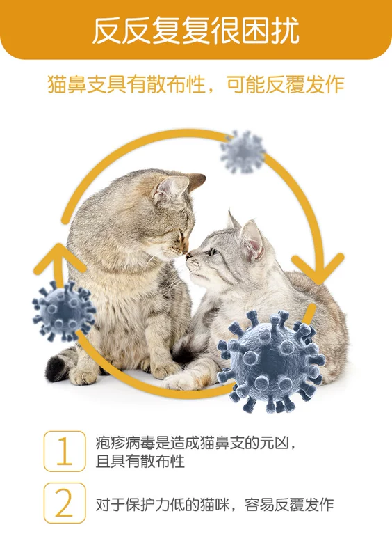 Med L-lysine 10g mèo mũi mèo amine mèo điều hòa với nước mắt hắt hơi mèo amoniac 10 túi - Cat / Dog Health bổ sung