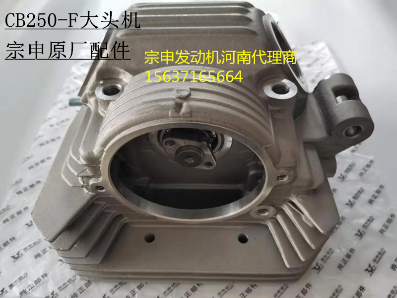 Big head motorcycle engine Zongshen CB 250 - F pole theft Huayang T4 wazoro cylinder assembly