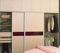 Environmental wardrobe 550 yuan per square meter