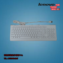 Lenovo Keyboard USB white keyboard