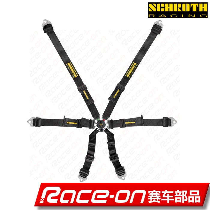 SCHROTH Flexi 2x2 6-point Seat Belts