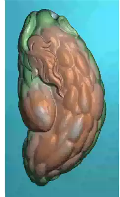 Jade carving map stl bitter gourd 1021
