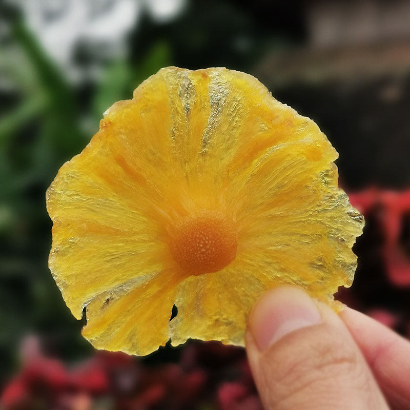 twelve thousand Tian Xishuangbanna pineapple Qianfeng pear dry pineapple dried raw taste without sugar fruit dry slice Yunnan snacks special produce 200g