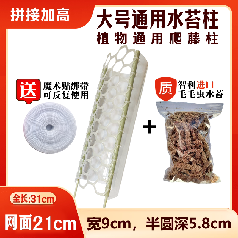 New Product: 9-Color Spliced Universal Peat Columns, Plant Moisturizing Climbing Columns, Seedling Peat Soil Columns New Product: 9-Color Spliced Universal Peat Columns, Plant Moisturizing Climbing Columns, Seedling Peat Soil Columns