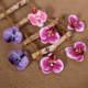 8cm new color simulated flower Phalaenopsis single petal 8cm new color simulated flower Phalaenopsis single petal