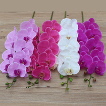 High-grade PU feel simulation phalaenopsis orchid single anti-real flower ornaments living room decoration high-quality fake flowers