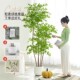 Artificial Green Plant Nandina Bamboo Landscaping Indoor Bionic Plant Potted Plant Living Room Light Luxury High-End Decorative Ornament Fake Flower Tree