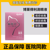 Bolleitley cat rhinoconjunctivitis eye drops Viral Eye Drops Cat Nose Drops Nasal Drops