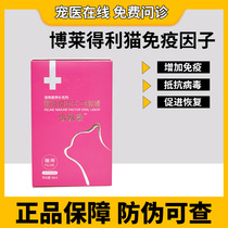 Borledelli cat with transfer factor oral liquid Bledarling kittens immunoantiviral infection pro-recovery 40ml