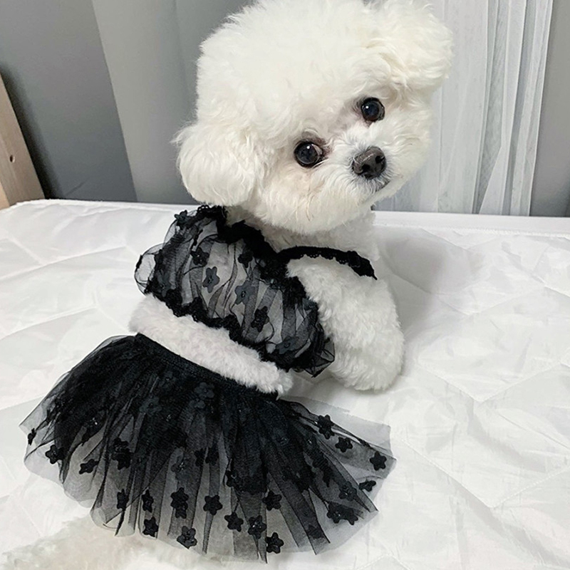 2025 Summer Breathable Mesh Teddy Pomeranian Vip Bichon Pet Vest + Half Skirt for Dogs and Cats 2025 Summer Breathable Mesh Teddy Pomeranian Vip Bichon Pet Vest + Half Skirt for Dogs and Cats