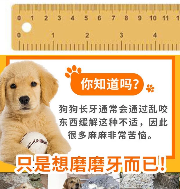 Wind Comes Dog mài Stick Puppy Teddy Teddy Răng Chó Keo xương Chó ăn vặt 30 Gói đồ ăn cho chó poodle