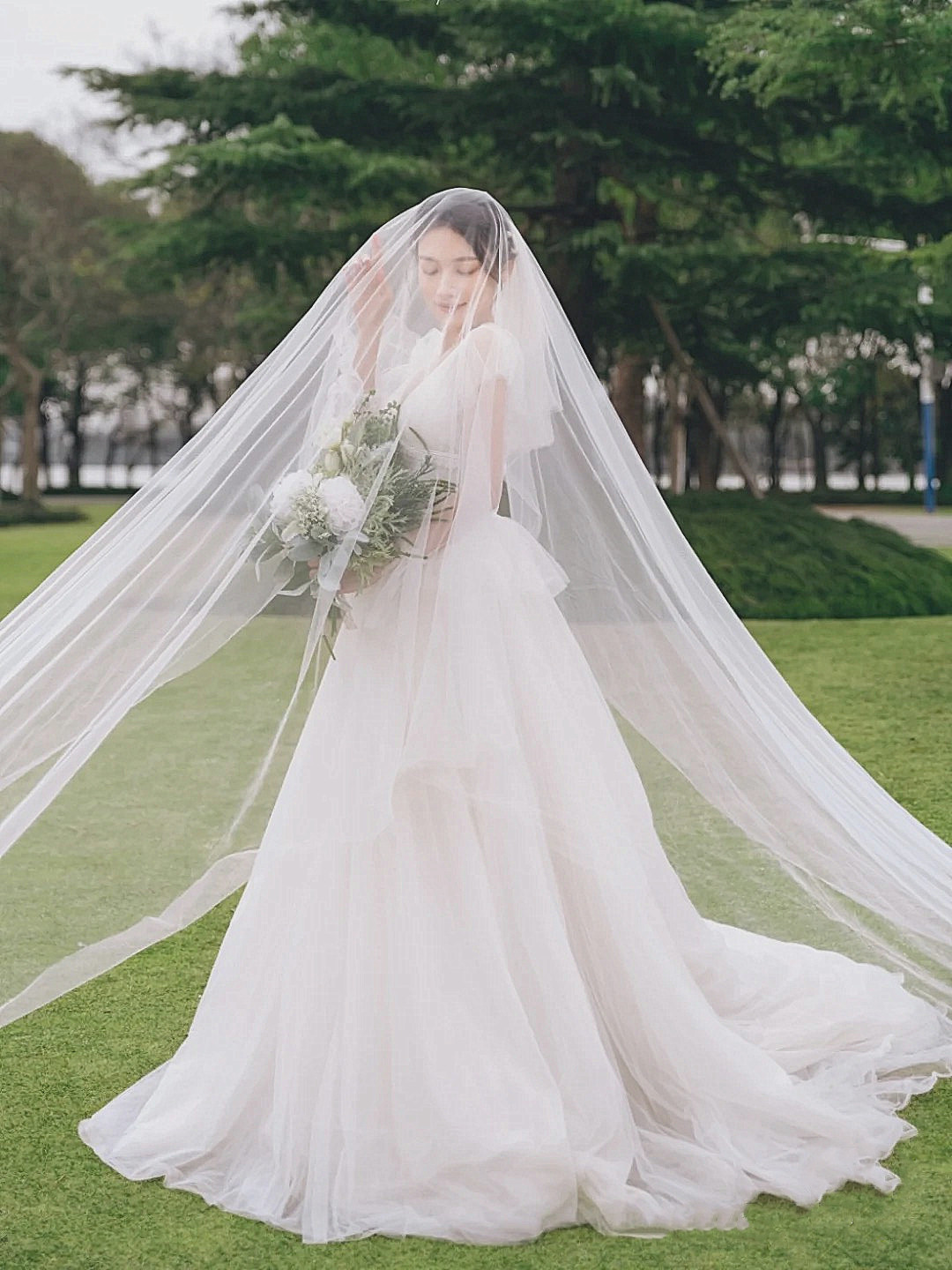 Champagne bride feels a dress 3 m wide 2 m 5 m brigade marry drag and veil veil veil veil veil veil veil