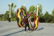 Adult Beginology Dynamic Fitness Dragon Dance Dragon Dance Dragon 8 m 8 m 10 m 13 m 13 m Ribbon Ribbon Whip with customizable