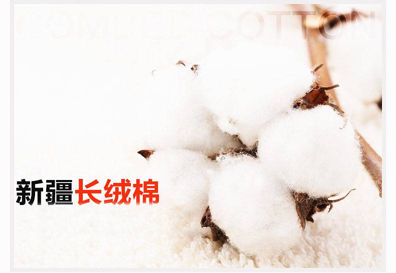 Chaussettes - collants GB5952 - Ref 778394 Image 8