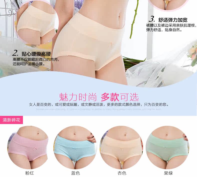 Slip jeunesse ZL037 en coton - Ref 665333 Image 12