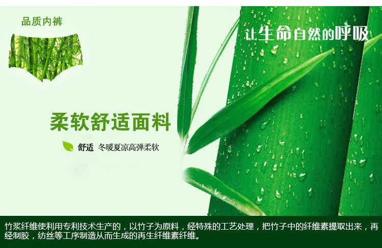 Slip jeunesse QJ003 en autre - Ref 665382 Image 7