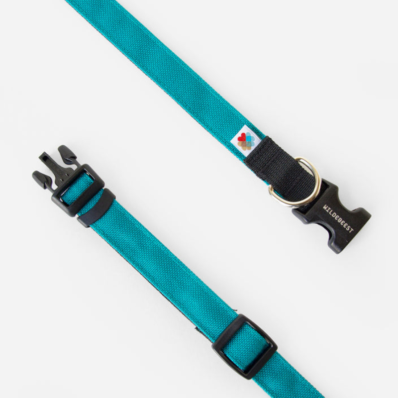 Pet Dog Finston Project Lap WIldebeest American Import Outdoor Speed Dry Condura Concise Accessories