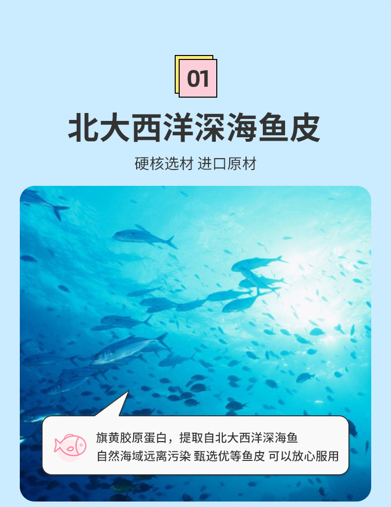 【买一送一】旗黄胶原蛋白肽粉精华60条