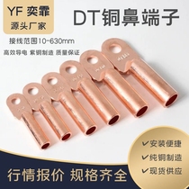 National standard copper nose DT-6 10 16 25 35 50 70 95 120 240-630A grade thick copper oil plugging nose