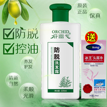 Gu Yulan Herb Oil Control Anti-Baltic Shampoo Hair Hair Hair and Anti-itching Original