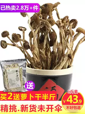 Farmers self-grown tea tree mushroom dry goods do not open umbrellas fresh self-produced 500g tea mushroom mushroom dried tea tree mushroom Jiangxi specialty