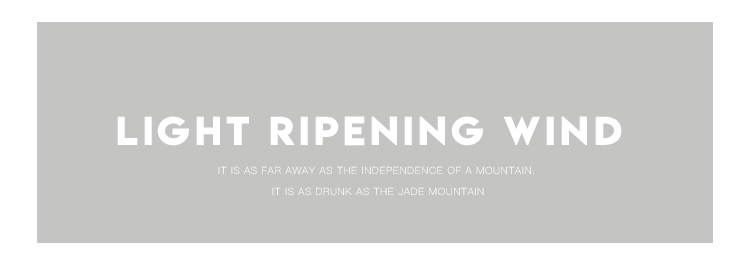 POLO Shirt Variation 2