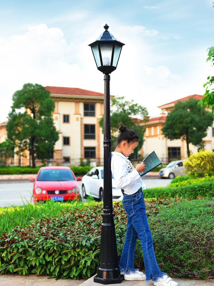 European-style outdoor waterproof garden light garden villa lawn light community solar street light outdoor home 2 meters