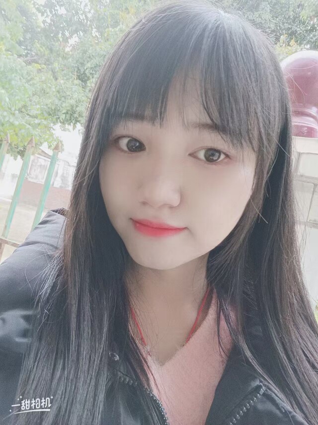 何家农业树苗