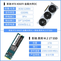 RTX 4060TI Metal Master OC+Black Will M.2 1T