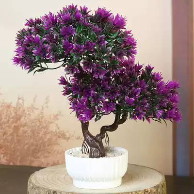 Gift bonsai tree Balcony table fake flower pot planting Dining room simulation flower decoration Indoor bedroom wine cabinet