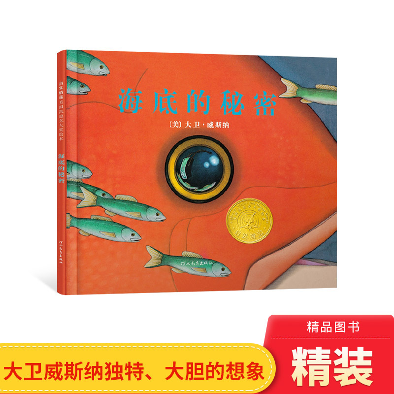 The Secret of the Undersea: Hardcover Picture Book, Inspired by the Work of David Wisner, Winner of the American Caldecott Award, Wordless Book for Ages 4, 5, 6, 7, 8, Imagination and Friendship, Authentic Children's Book