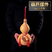 Высота тыквы 48 см (база отправки)