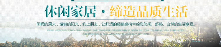 Золотая сталь ноги_08.jpg