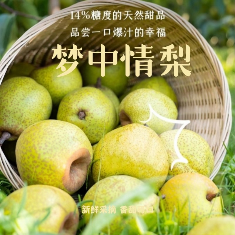 莱阳九小