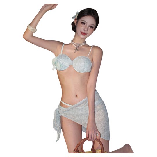 Sexy Suspender Split Three-Piece Swimsuit for Women, Pure Lust Style Hot Girl Resort Hot Spring Backless Mesh Skirt Bikini