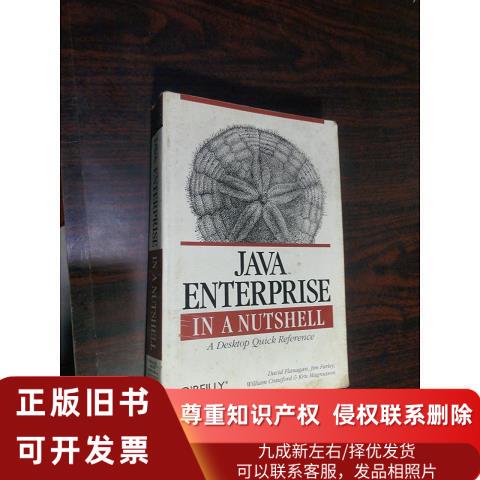 Original Java Enterprise in a Nutshell (Version with Illustrations)