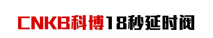 Фильтры, Помпы 净水器18秒延时阀24v废水自动冲洗组合阀电磁阀300废水比科博南洋 The Red/billed bird
