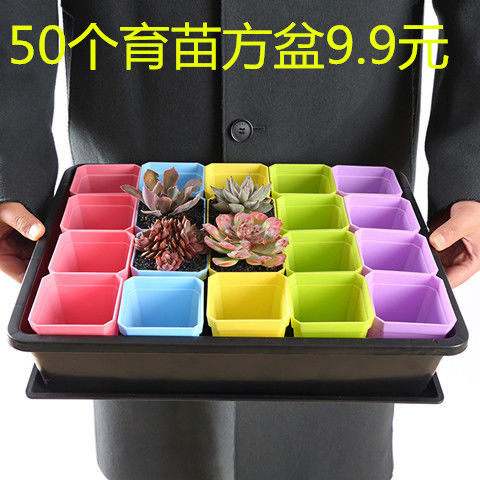 Color square black square thickened succulent nursery tray Plastic nursery frame storage and finishing frame i succulent plant leaf insert tray