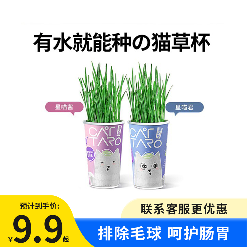 CATTARO cat grass cup catnip seed planting set hair cream cat grass potted cat snacks