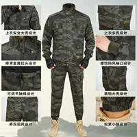 Эластичный комплект, штаны