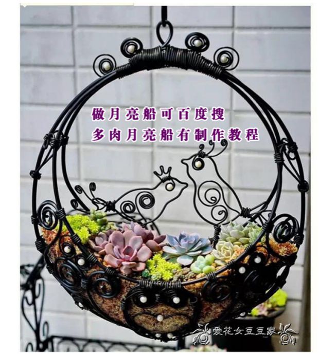 Dây chuyền tấm đen Hướng dẫn sử dụng dây nhựa bọc nhựa DIY Đồ dùng làm vườn vòi nước tưới cây