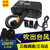 Triple Motor Pet Blow Water Machine High Power Silent Large Dog Tibetan Mastiff Puppy Dog Bath Hair Dryer Windy