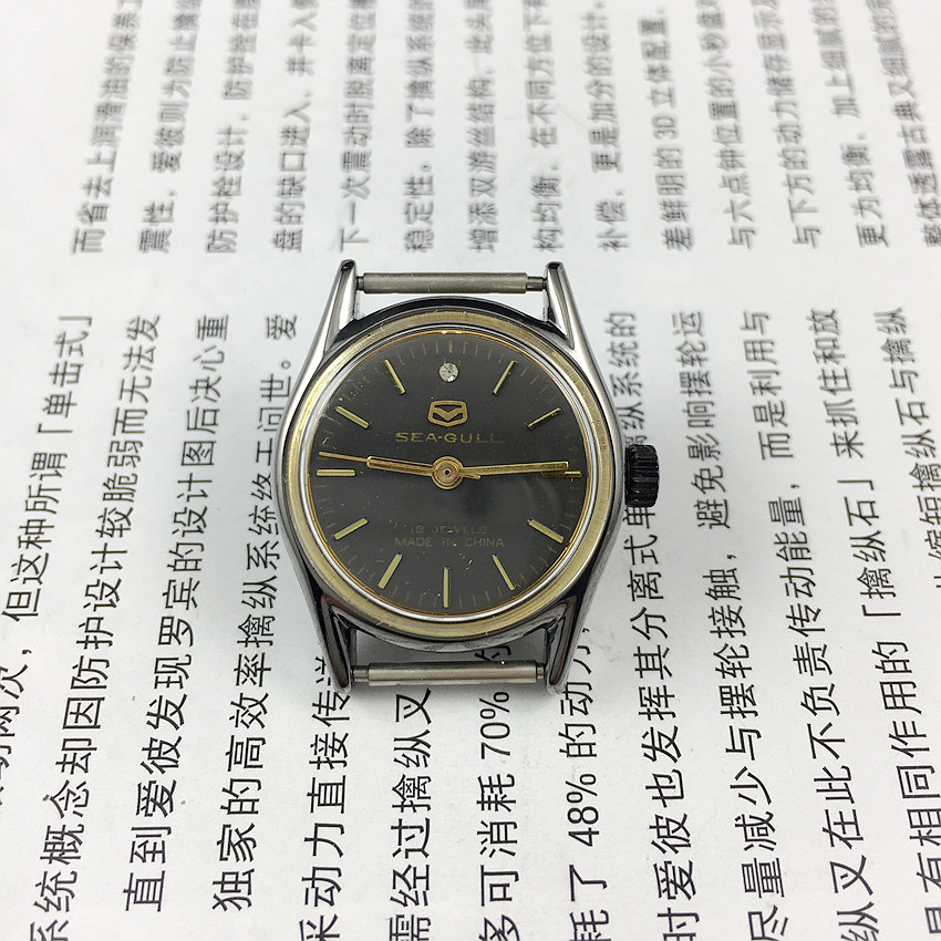 Tianjin Watches Factory Produce Seagull Deck Black Shell Black Surface Strips Nail Noodles Manual Machinery Women's Meter Diameter 26mm METER BELT