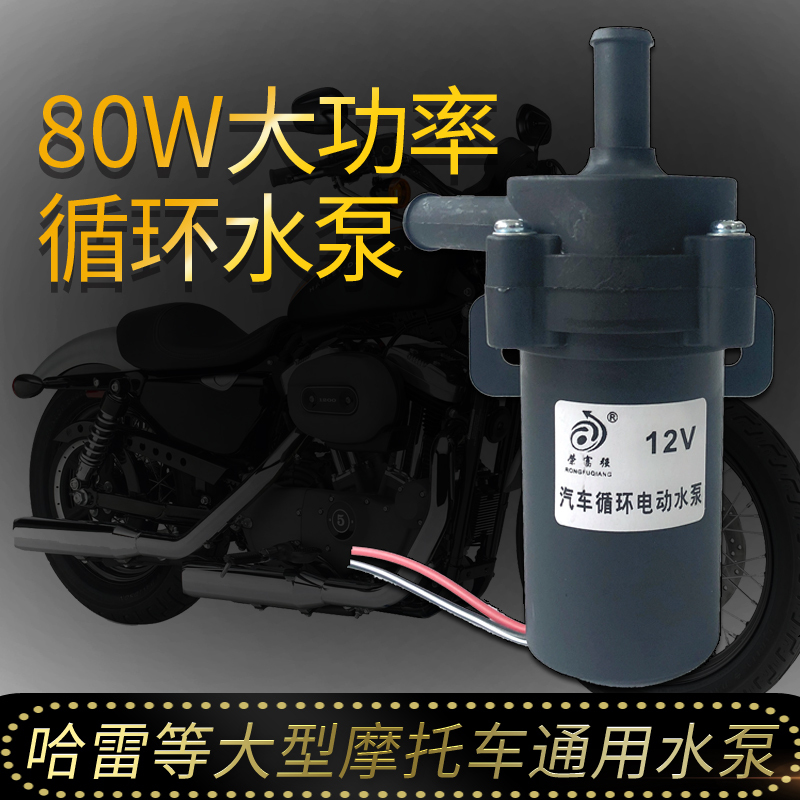 Harley Motorcycle Water Pump, Shenglong Jia Large Motorcycle Water Pump, Stylish Retro Prince Rebel Universal