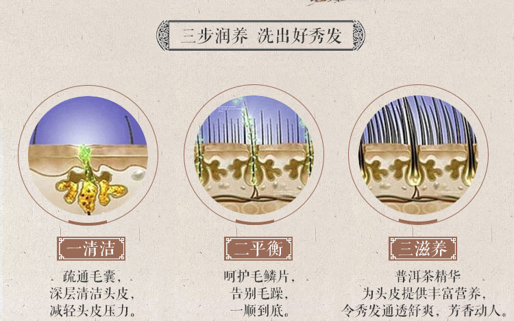  小养普洱茶_04.jpg