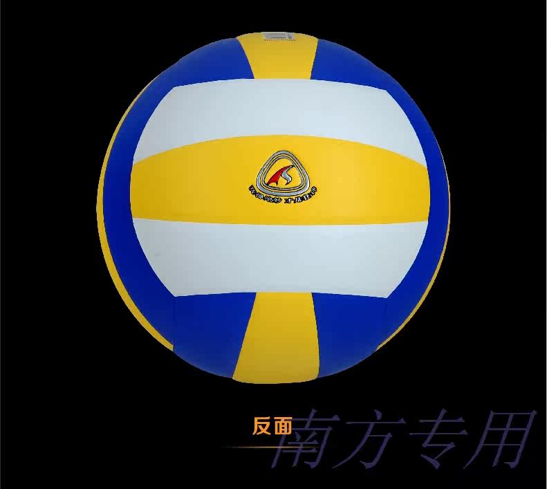 Ballon de volley-ball - Ref 2011480 Image 20