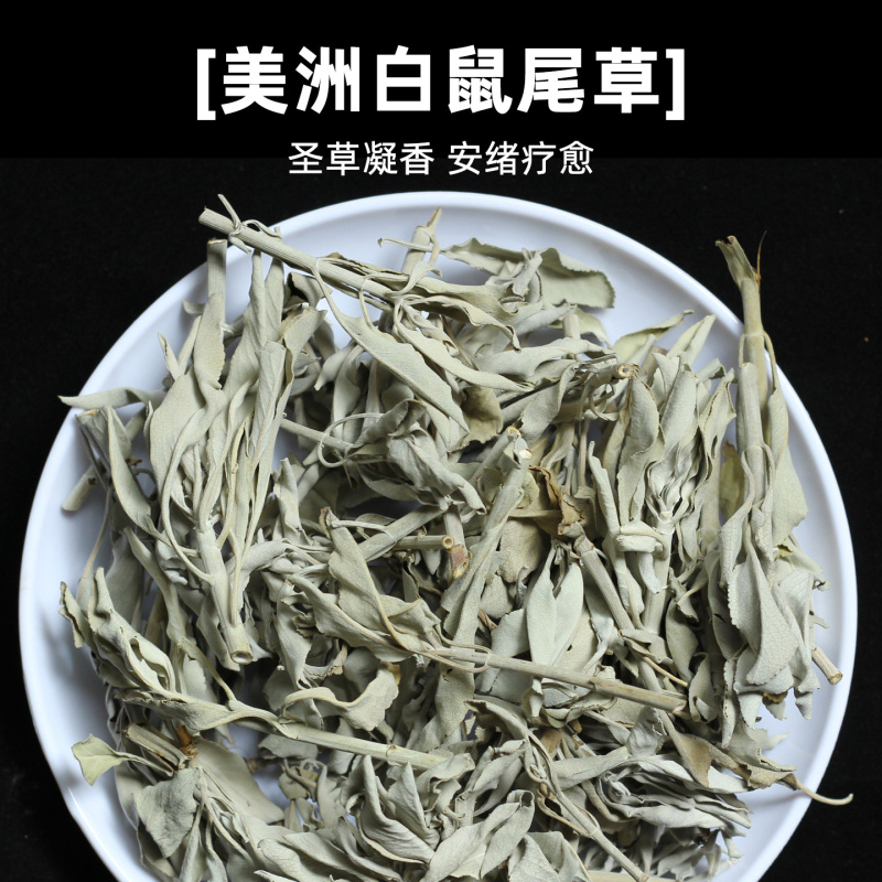 White Sage Aromatherapy California White Sage for Purifying Space Crystal Demagnetization Whitesage Branches and Leaves