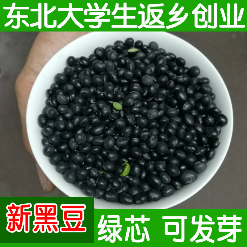 Northeast farmhouse self-produced self-planted green core small black bean sprout bean sprout special 500g green heart soy milk raw black small bean bulk