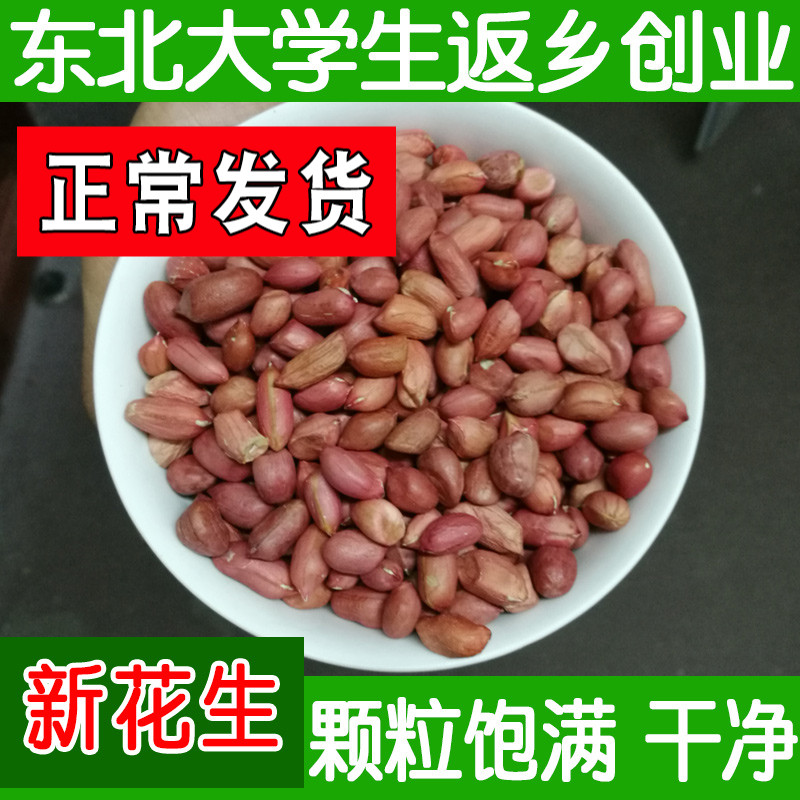Farmhouse red leather peanut rice 500g Bulk without shell small grain raw peanut kernel fresh and dried for four new goods red coat